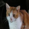 ../../superadmin/superadmin/largeupload/hkcr1286448970.jpg