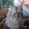 ../../superadmin/superadmin/largeupload/hkcr1286449963.jpg