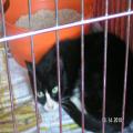../../superadmin/superadmin/largeupload/hkcr1287041999.jpg