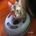 ../../superadmin/superadmin/largeupload/hkcr1287044501.jpg