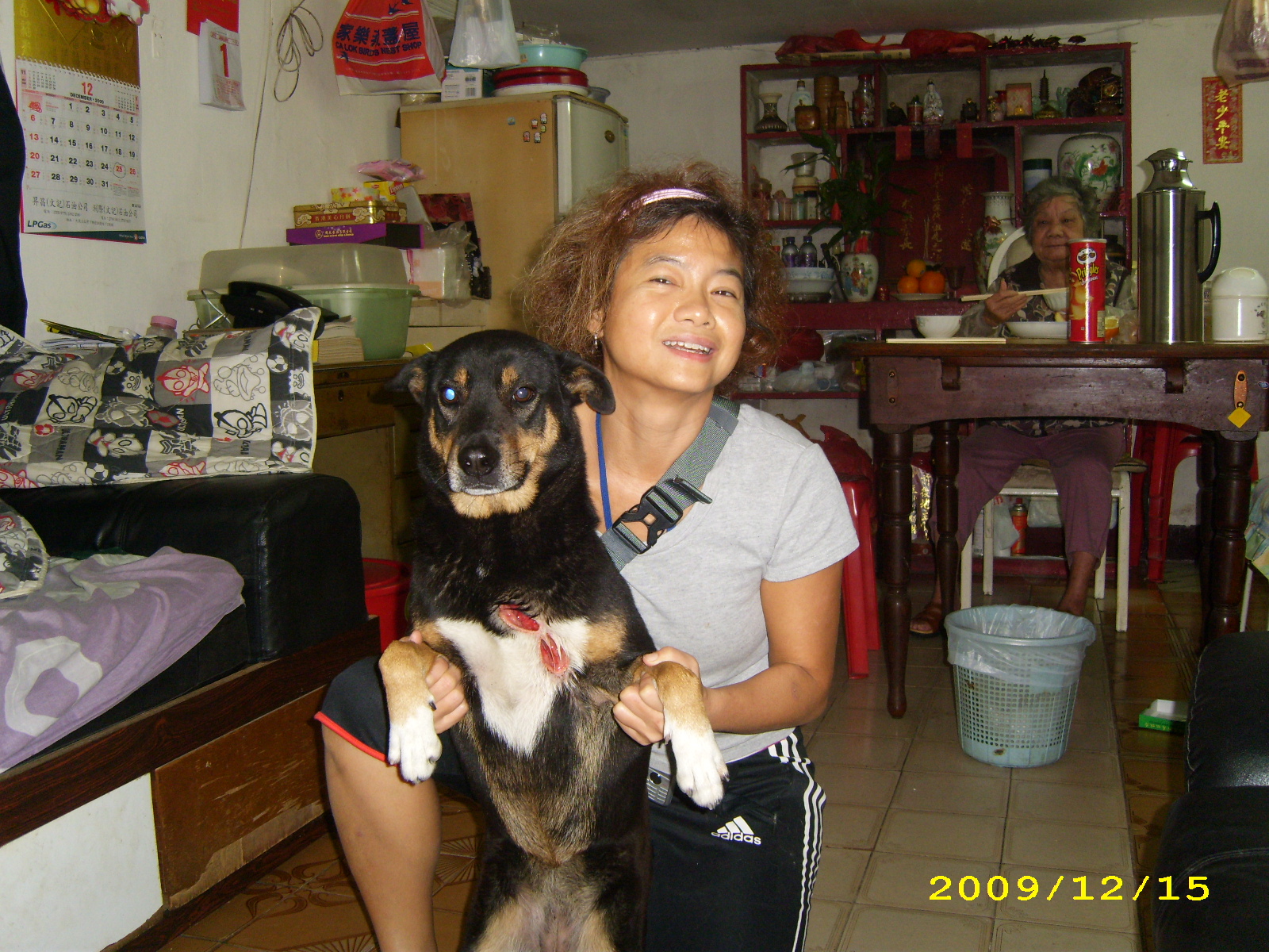 1261110546---qq.JPG